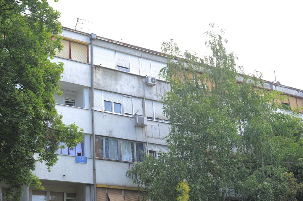Apartment Daca Stan Beograd Ngoại thất bức ảnh