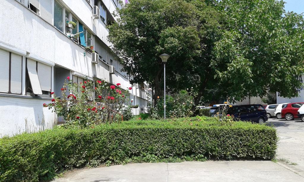 Apartment Daca Stan Beograd Ngoại thất bức ảnh